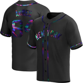 Youth Replica Black Holographic Albert Abreu New York Yankees Alternate Jersey